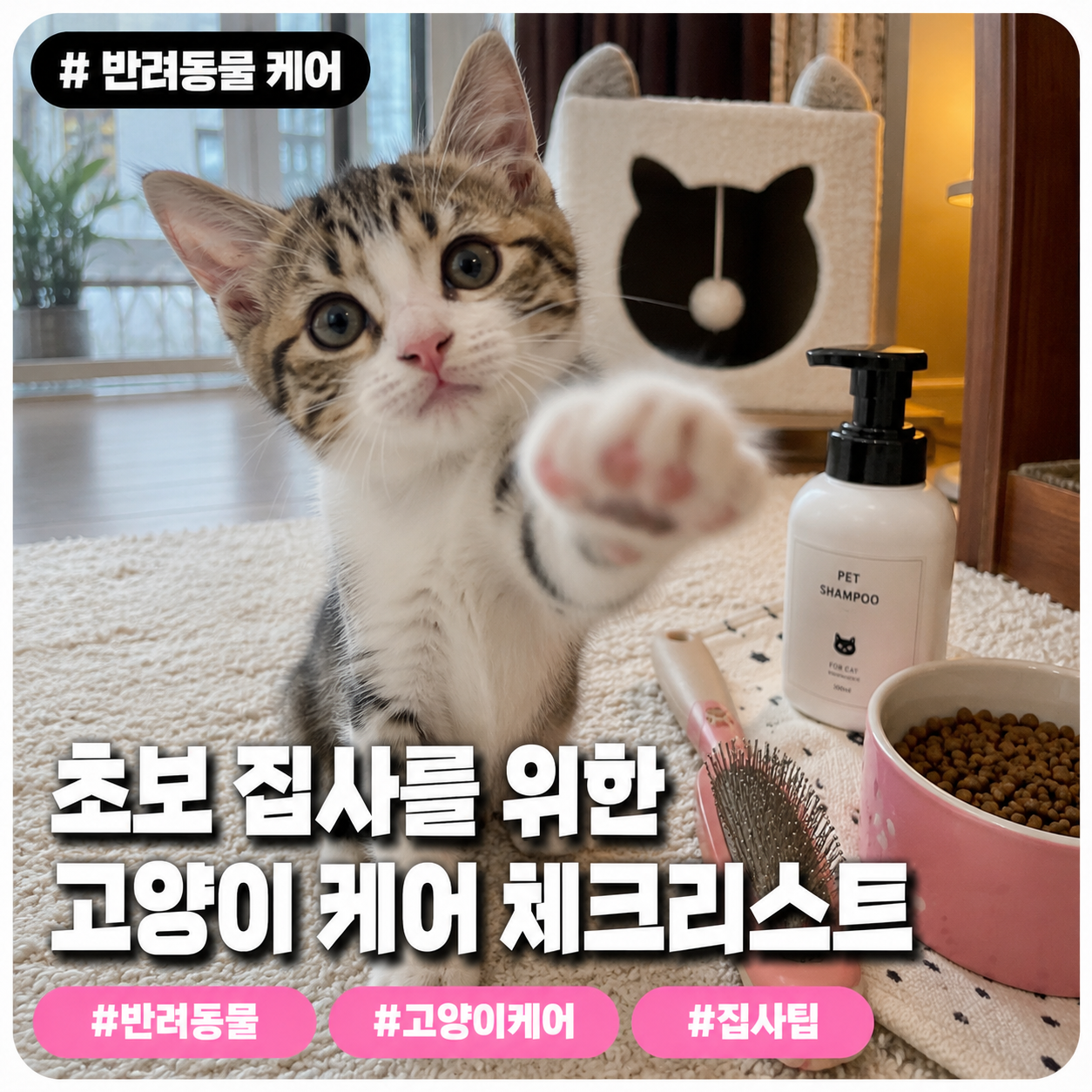 반려동물 케어 — 초보 집사를 위한 고양이 케어 체크리스트
